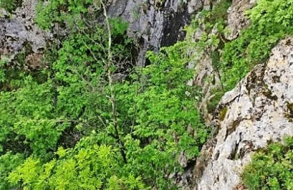 Poljska  jamarja sta  v  Golokratni jami naletela  na  pretresljiv  
prizor. 