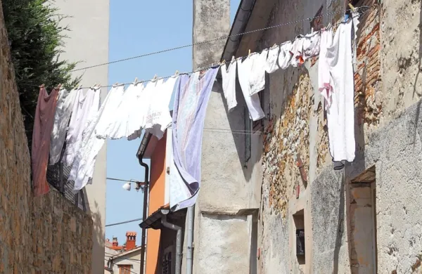Bošadraga velja za eno najstarejših in najmanj spremenjenih  četrti 
mestnega jedra Kopra.