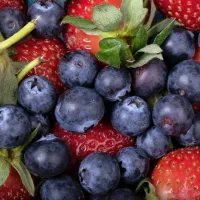 V boju proti oksidativnemu stresu, ki je kriv za gube, pomaga 
resveratrol.