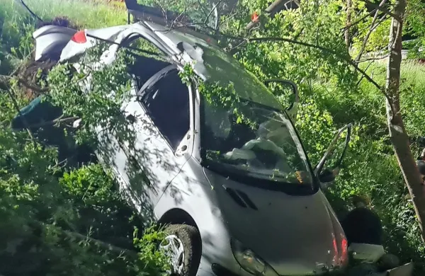 Divača: z avtom trčil v drevo