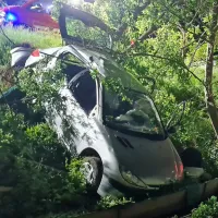 Divača: z avtom trčil v drevo