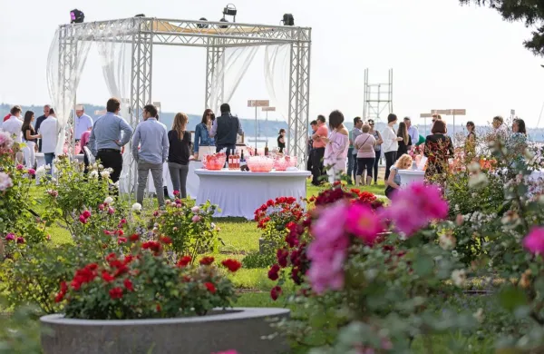 Portorož v znamenju vrtnic in ros&eacute;jev
