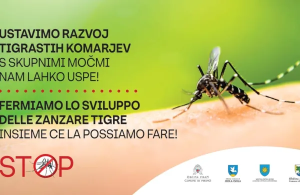 Občine slovenske Istre znova skupaj v preventivni akciji zoper tigraste komarje