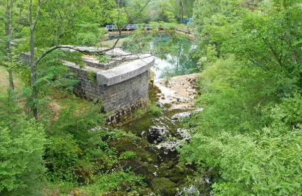 Izvir reke Rižane