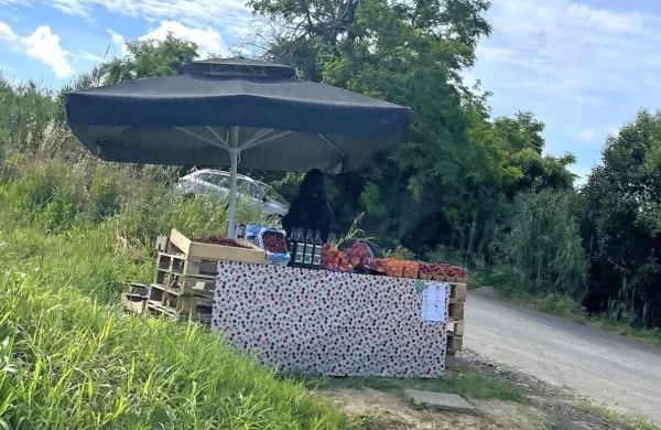 Prodajalci sadja so spet zasedli mesta ob cesti.