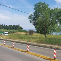 Prodajalci sadja so spet zasedli mesta ob cesti.