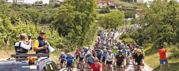 Jutri bodo iz Ljubljane v Brda vozili kolesarji na maratonu Junaki 
vinogradov.  