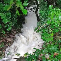 (NEURJE) V Kastelcu voda zalivala hi&scaron;e in dvori&scaron;ča, v Bo&scaron;amarinu odneslo del ceste