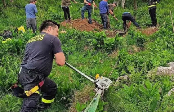 Gasilci so ob breznu s pasovi pritrdili ročni vitel in rešili kravo iz 
luknje.