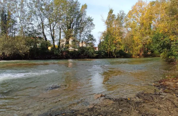 Reka Rižana ni samo vir pitne vode, ampak tudi dom različnim 
živalskim vrstam. 