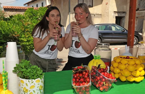 Za vikend na Festival bri&scaron;ke če&scaron;nje