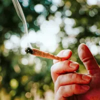Marihuana  manjša človekovo koordinacijo, kognitivne sposobnosti, poveča pa reakcijski čas.