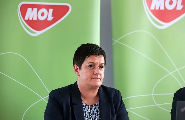 Direktorica Mol Slovenija: &ldquo;Primorani smo v tožbo proti državi&rdquo;