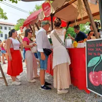 Obiskovalci množično po Brdih, če&scaron;enj je že zgodaj zmanjkovalo (FOTO)