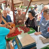Obiskovalci množično po Brdih, če&scaron;enj je že zgodaj zmanjkovalo (FOTO)