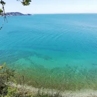 Slovensko morje je v dobri kondiciji.