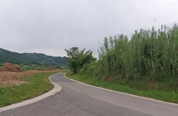 V  soboto  pozno  popoldne  se je na  cestici  med  Dobravo  in  
Strunjanom  dogajala prava  drama  (fotografija je  simbolična).