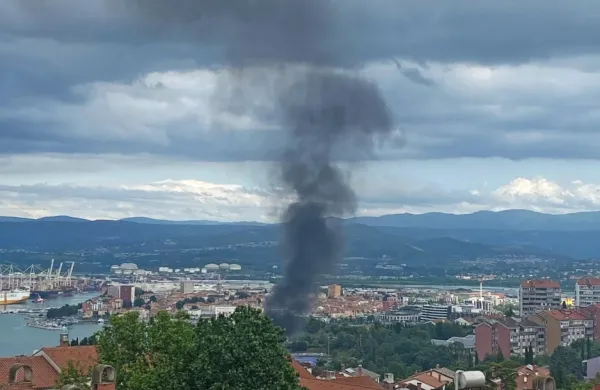 V Kopru pridržali osumljenca za požig dveh vozil