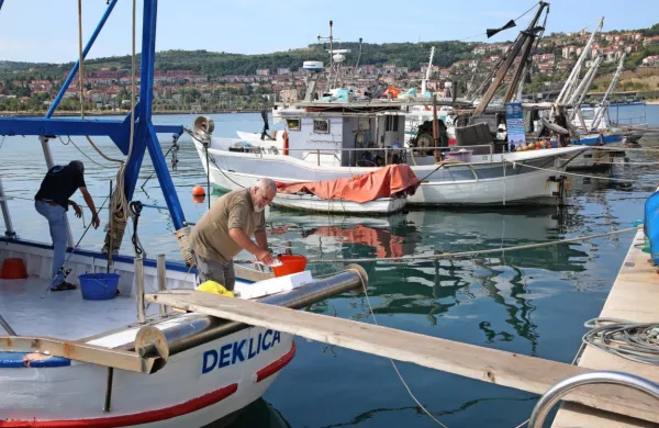 Vlada je  sprejela predlog spremembe zakona o pomoči ribičem, in 
sicer v delu, ki predvideva nadomestila ribičem za izpad dohodka 
zaradi oviranega ribolova, in v delu, ki ureja pravno pomoč 
zanje. 