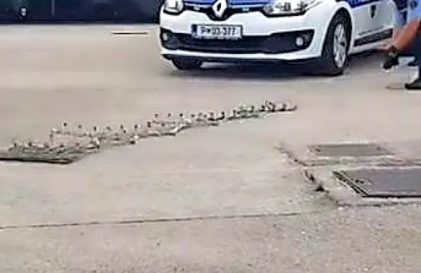 Policisti si pri zaustavljanju vozil pomagajo tudi s stingerjem.