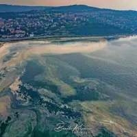 Burja bo očistila ozračje, sluzi je na povr&scaron;ju morja vse manj