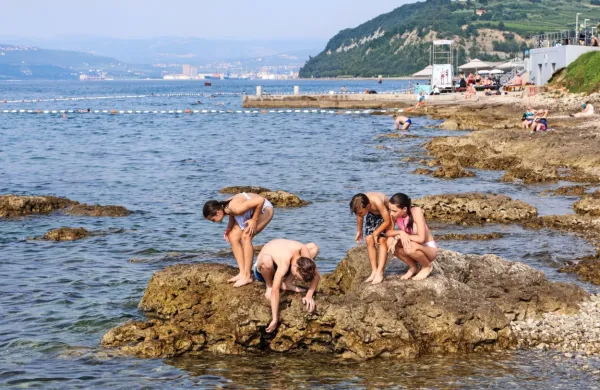 Ognjeni črv se po vsej verjetnosti zaradi globalnega segrevanja seli 
proti severu. Po dosedanjih podatkih ga ob slovenski obali (še) 
ni.