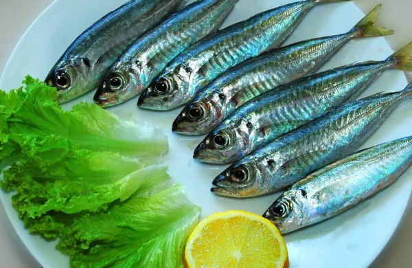 Količina ulovljenih rib pod povprečjem zadnjih desetih let