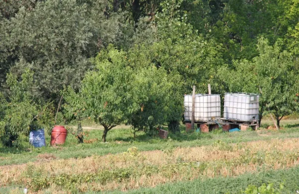 Izbrali projektanta namakalnega sistema