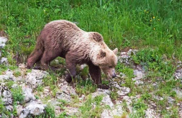 Fotografija je simbolična