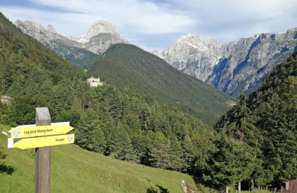 Po prvih podatkih je bilo žarišče potresa  blizu Loga pod Mangartom.
