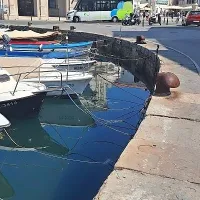 Odstranili sluz z morja in priveznih vrvi