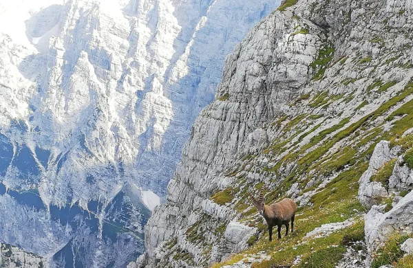 Fotografija je simbolična.