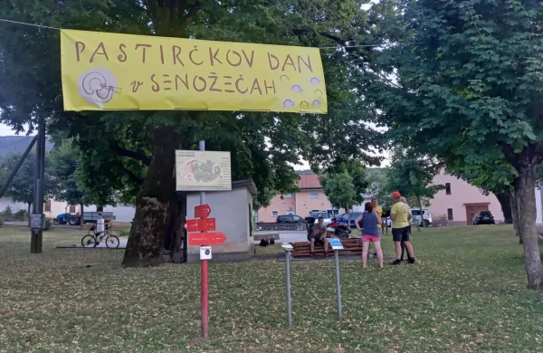 V Senožečah jutri prirejajo Pastirčkov dan