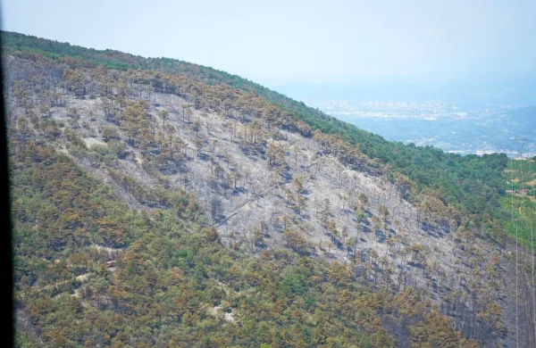 Požar na Krasu poga&scaron;en, pomagal tudi dež