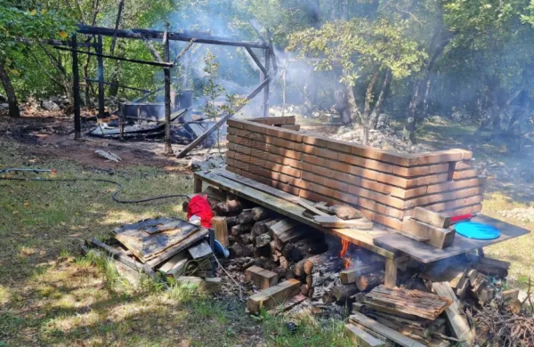 Pri Sežani gasili barako, v Portorožu palmo