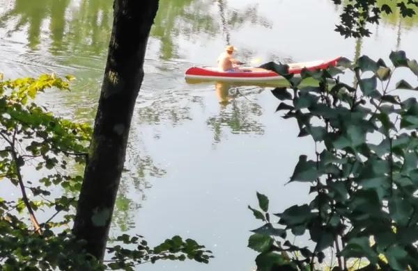 Morje ima po nedavni ohladitvi že spet (za namakanja prijetnih) 26 
stopinj Celzija, a tudi slovenska jezera in reke so precej topla.   
Bohinjsko jih ima 22, Blejsko 25, prav toliko Kolpa pri Metliki (na 
fotografiji).