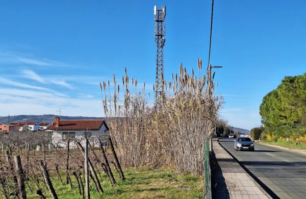 Fotografija je simbolična.