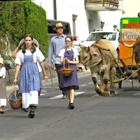 Kmečki voz Žvabovih bo tudi v Dutovljah