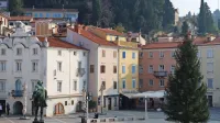 Podjetje Javna razsvetljava je  pretekla leta poskrbelo tudi za 
prevoz praznične jelke na Tartinijev trg. 