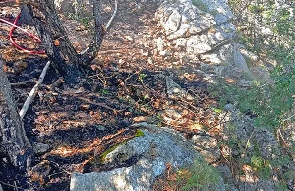 Včeraj  dopoldne  je zagorelo  na  težko dostopnem  terenu  na 
Nanoški planoti.   