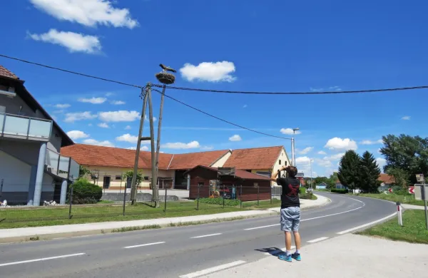 Član DOPPS na delu v Cvetkovcih na Ormoškem