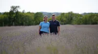 Tilen Pahor in Ines Confidenti imata v nasadu v Volčjem gradu 
6000 grmov sivke.  