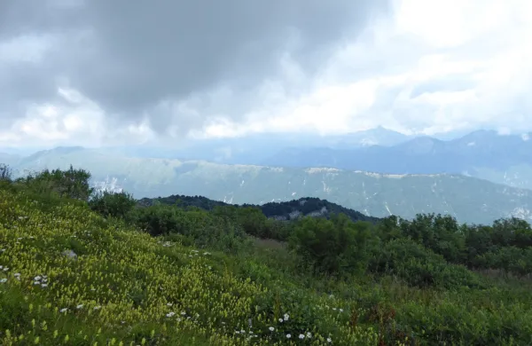  Pri vzletu s pobočja Stola v občini Kobarid se je dopoldne smrtno 
ponesrečil  jadralni padalec. 