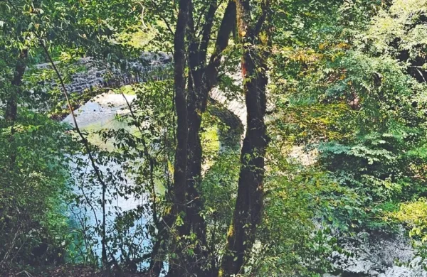 Na severnem Primorskem je bilo letos  poleti več padavin,  a so bile   
zelo krajevne.