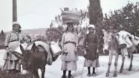 Ženske iz slovenske Istre so svoje blago nosile peš ali s pomočjo oslov, s katerimi so lahko prenesle večje količine jajc, mleka ... 
