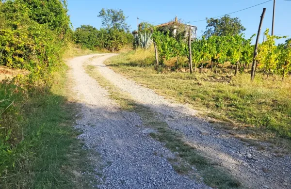 Hišni priključki do javnega kanalizacijskega omrežja potekajo tudi 
čez tuja zemljišča, kar je ponekod velika težava - na primer v 
Ankaranu, kjer naša bralka ne uspe dobiti soglasja zasebnega 
lastnika in ne Sklada kmetijskih zemljišč in gozdov.  