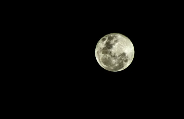 Fotografija je simbolična.