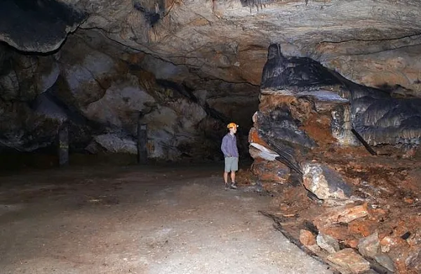 Račiška pečina je kraška jama v jugozahodni Sloveniji, v bližini 
Podgrada v Ilirski Bistrici, ki se ponaša z izjemnim sedimentnim 
profilom, ki sega od poznega pliocena do danes.