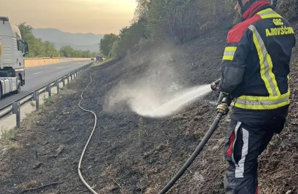 Zagorelo ob hitri cesti od predora Vipavski Križ proti Selu