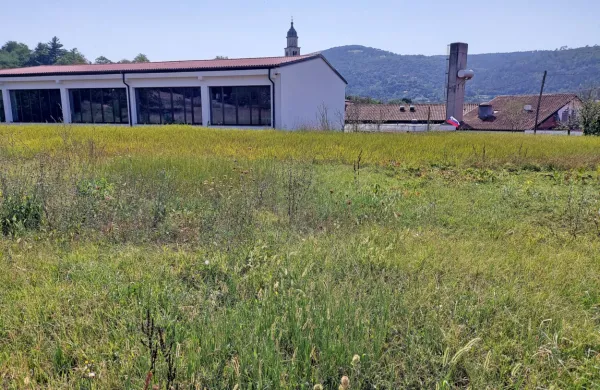 Novogoriška mestna občina bo ob osnovni šoli v Braniku v  
naslednji dveh letih gradila novo športno igrišče. Ob njem bodo  
uredili tudi šolski vrt in sadovnjak.